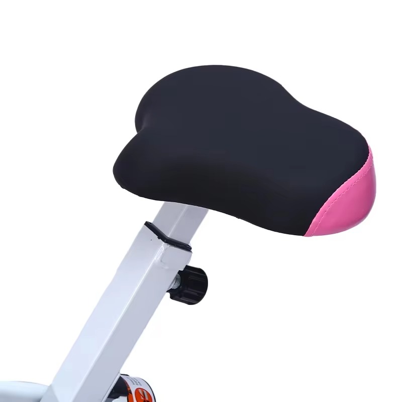자석 제어식 고정식 자전거 - 웰니스 및 피트니스를 위 - Health Wellness Training 리뷰 및 가격