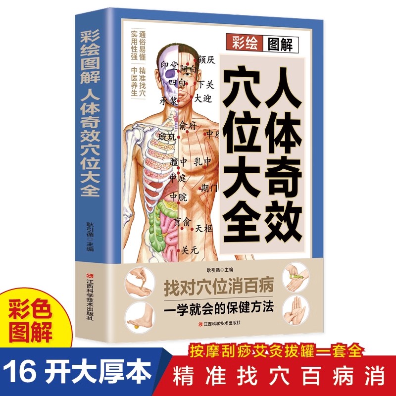 경혈 마사지 및 TCM 건강 보존 가이드, 전통 중국  - Health & Wellness Festival 리뷰 및 가격