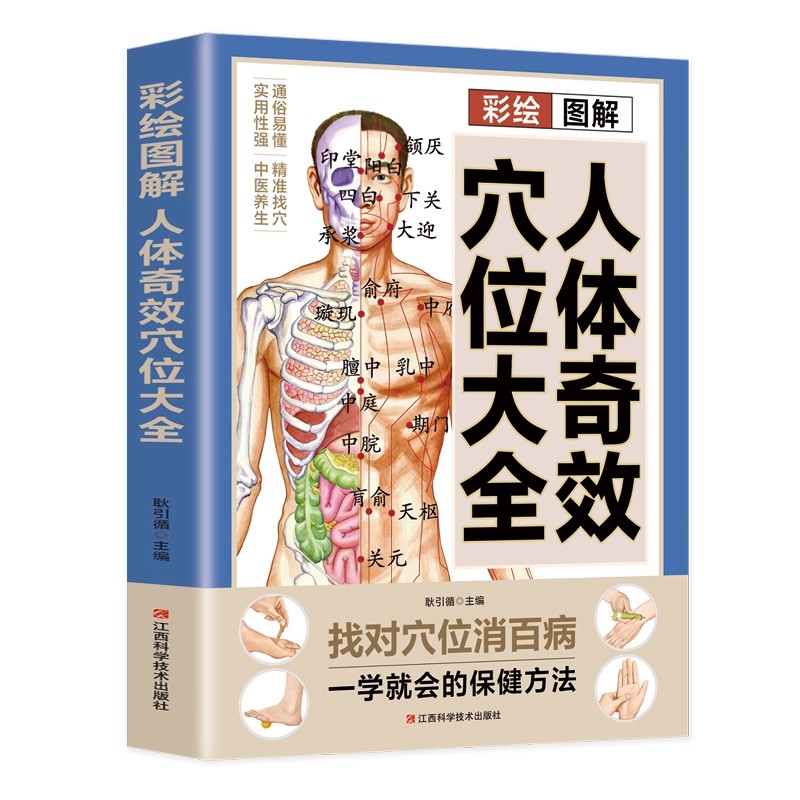 경혈 마사지 및 TCM 건강 보존 가이드, 전통 중국  - Health & Wellness Festival 리뷰 및 가격